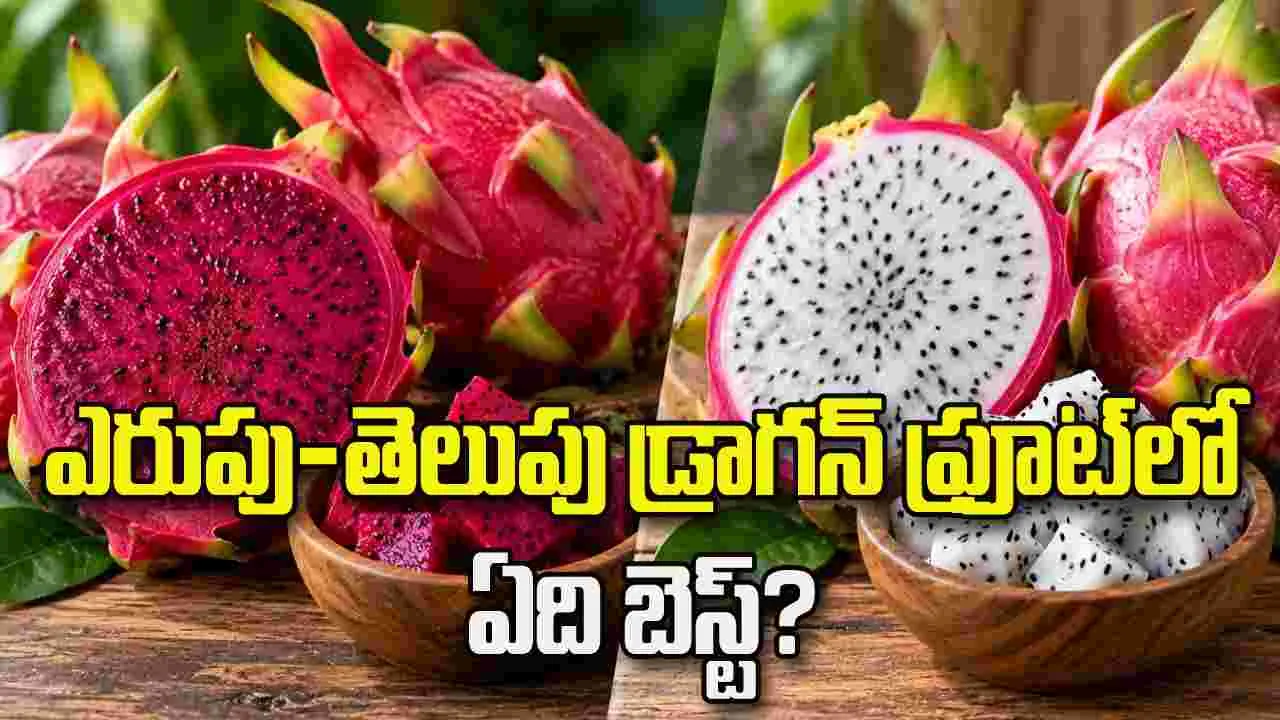 ఎరుపు-తెలుపు డ్రాగన్‌ ఫ్రూట్‌లో ఏది బెస్ట్‌?