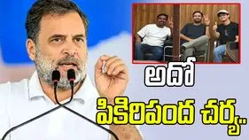 సీజేపీ నేతలను జైలుకు పంపడం పిరికిపంద చర్య: ఎంపీ రాహుల్ గాంధీ