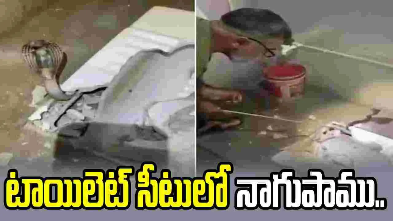 టాయిలెట్ సీటులో ఆరు అడుగుల నాగుపాము..