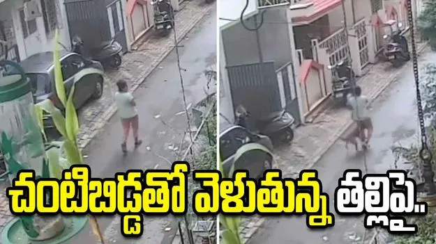 మహారాష్ట్రలో దారుణం.. చంటిబిడ్డతో వెళుతున్న తల్లిపై వీధికుక్క దాడి..