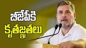 ‘సేవ్ ది వోట్ - సేవ్ ది కంట్రీ’ పేరిట ఢిల్లీలో మెగా ర్యాలీ: రాహుల్ గాంధీ
