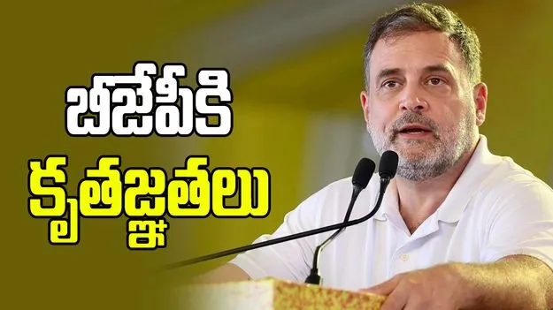 ‘సేవ్ ది వోట్ - సేవ్ ది కంట్రీ’ పేరిట ఢిల్లీలో మెగా ర్యాలీ: రాహుల్ గాంధీ