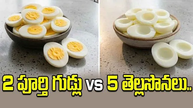 బరువు తగ్గడం, కండరాల పెరుగుదల.. గుడ్లు ఇలా తింటే బెటర్!