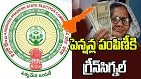 ఏపీలో పింఛన్ల పంపిణీకి ఎస్‌ఈసీ అనుమతి.. కొత్త లబ్ధిదారులకు నో