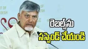 పొత్తు ధర్మం పాటించాల్సిందే.. రెబల్స్‌ను సస్పెండ్ చేయండి: సీఎం చంద్రబాబు