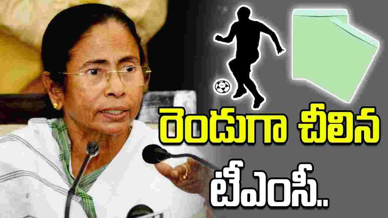 తృణమూల్‌లో ఇకపై రెండు వర్గాలు.. మమత పార్టీకి ఏ గుర్తంటే?