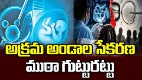 హైదరాబాద్‌లో అక్రమ అండాల సేకరణ ముఠా గుట్టురట్టు