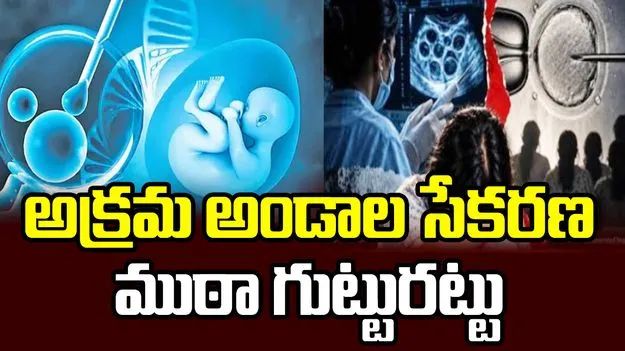 హైదరాబాద్‌లో అక్రమ అండాల సేకరణ ముఠా గుట్టురట్టు