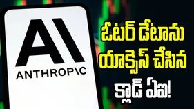 ఓటర్ డేటాను యాక్సెస్ చేసిన క్లాడ్ ఏఐ.. యూఎస్‌లో కలకలం