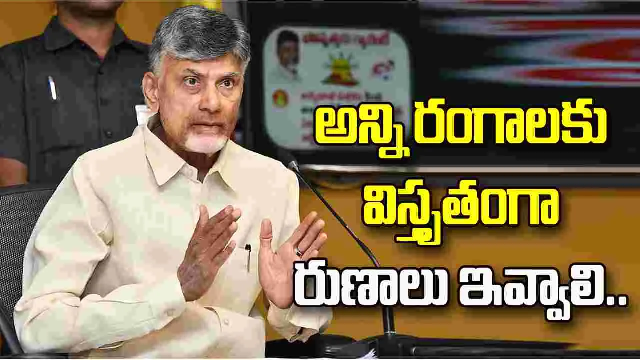 రుణాల మంజూరుపై బ్యాంకులు దృష్టి పెట్టాలి: సీఎం చంద్రబాబు