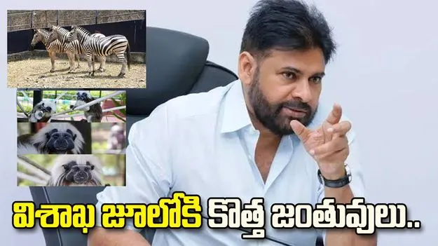 విశాఖ జూలోకి కొత్త జంతువులు.. పవన్ కల్యాణ్ ట్వీట్