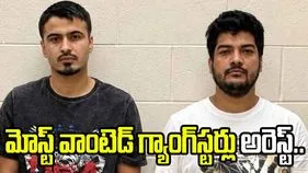 అమెరికాలో గ్యాంగ్‌స్టర్లు అరెస్ట్.. భారత్‌కు తీసుకొచ్చేందుకు ప్రయత్నాలు..