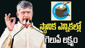 స్థానిక సంస్థల ఎన్నికల్లో గెలుపే లక్ష్యంగా పనిచేయాలి: సీఎం చంద్రబాబు