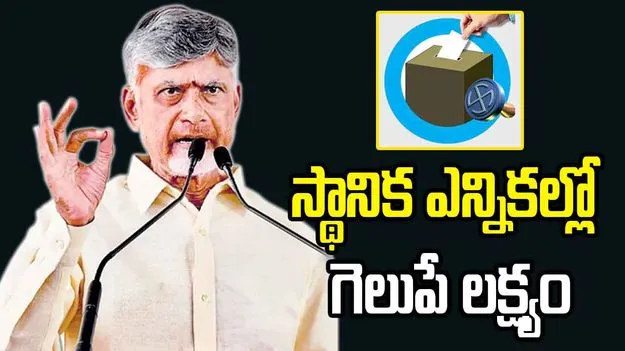 స్థానిక సంస్థల ఎన్నికల్లో గెలుపే లక్ష్యంగా పనిచేయాలి: సీఎం చంద్రబాబు
