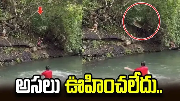 దూసుకొచ్చిన కొండచిలువ.. పర్యాటకులకు షాక్.. వీడియో వైరల్