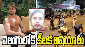 టైగర్ ష్రాఫ్‌పై దాడి కేసు.. వెలుగులోకి కీలక విషయాలు