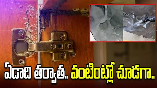 ఏడాది తర్వాత ఇంటికి వచ్చి.. వంటగది కబోర్డ్‌ తెచిరి చూడగా..