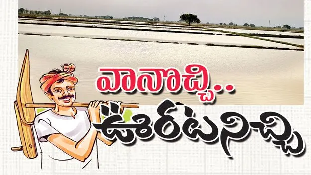 వానొచ్చి.. ఊరటనిచ్చి 