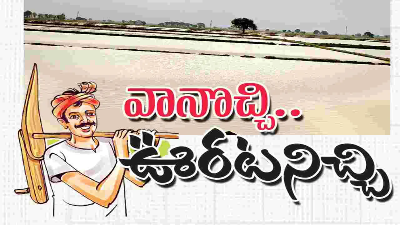 వానొచ్చి.. ఊరటనిచ్చి