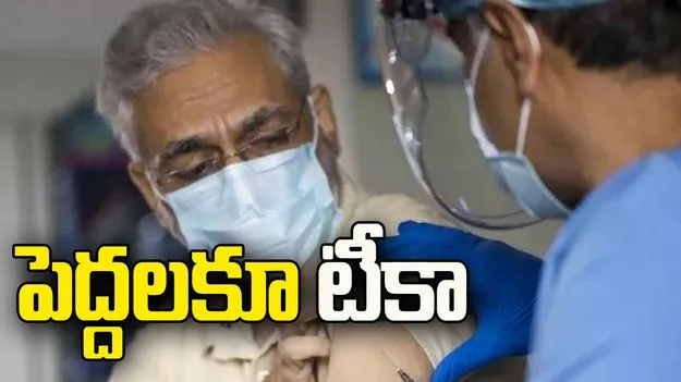 పెద్దలకూ టీకా 
