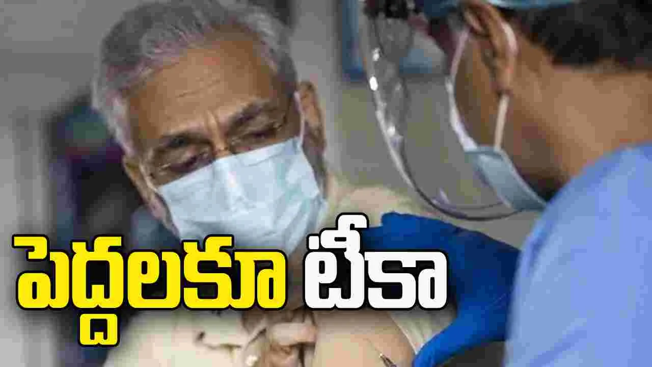పెద్దలకూ టీకా 