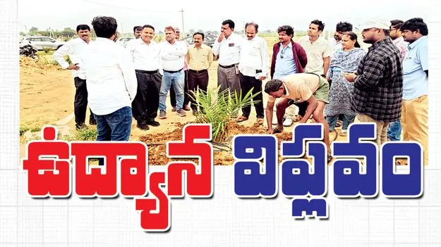  ఉద్యాన విప్లవం