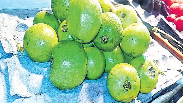 యాపిల్‌ కంటే జామకాయలే ప్రియం