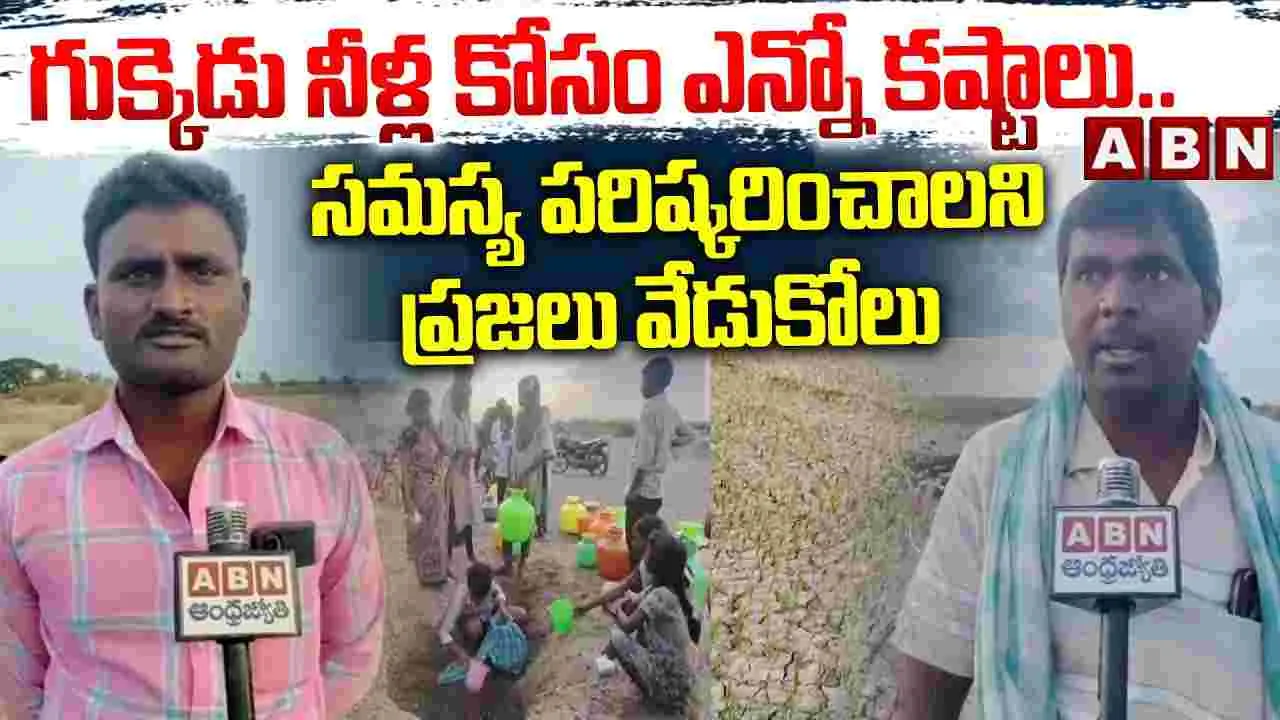 తుంగభద్ర తీర ప్రాంతంలో తాగు నీటి కష్టాలు..