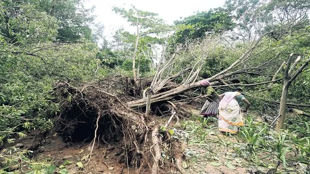 నగరం కకావికలం