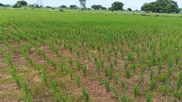 అడుగంటుతున్న భూగర్భ జలాలు