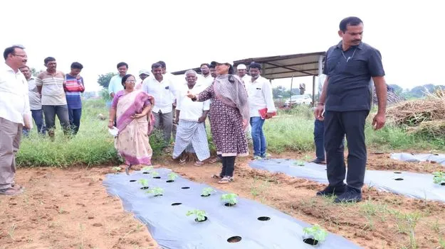 డిమాండ్‌ ఉన్న కూరగాయలను సాగు చేయాలి