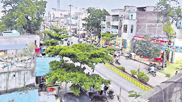 ఎట్టకేలకు విముక్తి