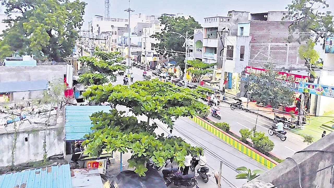 ఎట్టకేలకు విముక్తి
