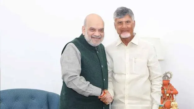 కేంద్ర హోంమంత్రి అమిత్‌షాతో సీఎం చంద్రబాబు భేటీ.. చర్చించిన అంశాలివే