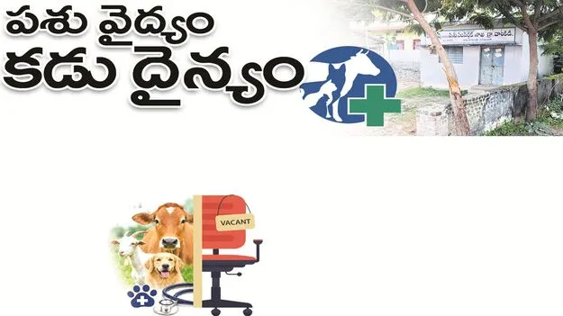 kumaram bheem asifabad-పశువైద్యం.. కడుదైన్యం