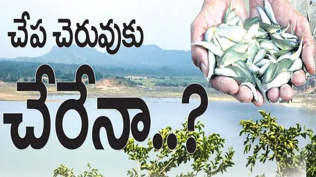 kumaram bheem asifabad- చేప చెరువుకు చేరేనా..?