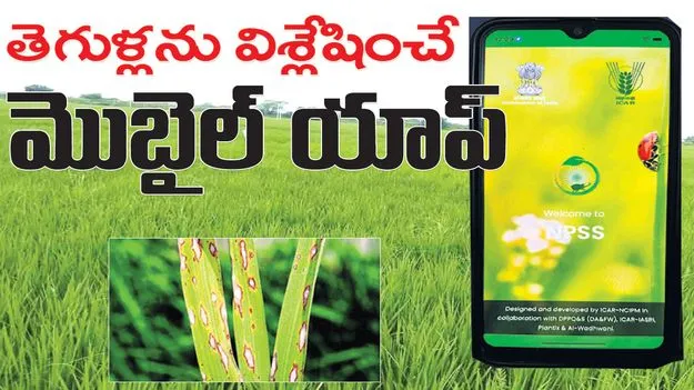 kumaram bheem asifabad-తెగుళ్లను విశ్లేషించే మొబైల్‌ యాప్‌