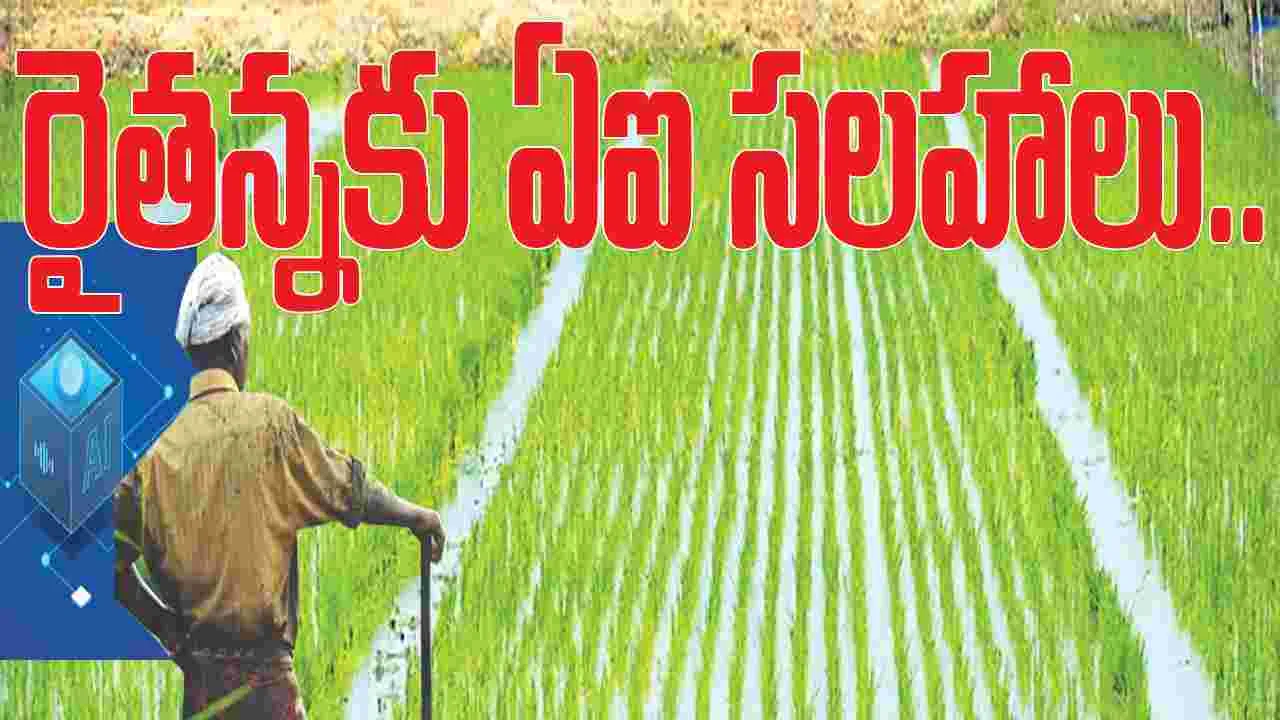 kumaram bheem asifabad- రైతన్నకు ఏఐ సలహాలు
