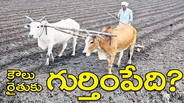 Kumaram Bheem Asifabad:  కౌలు రైతుకు గుర్తింపేది?