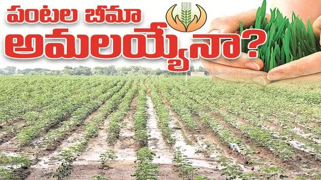 kumaram bheem asifabad- పంటల బీమా అమలయ్యేనా?