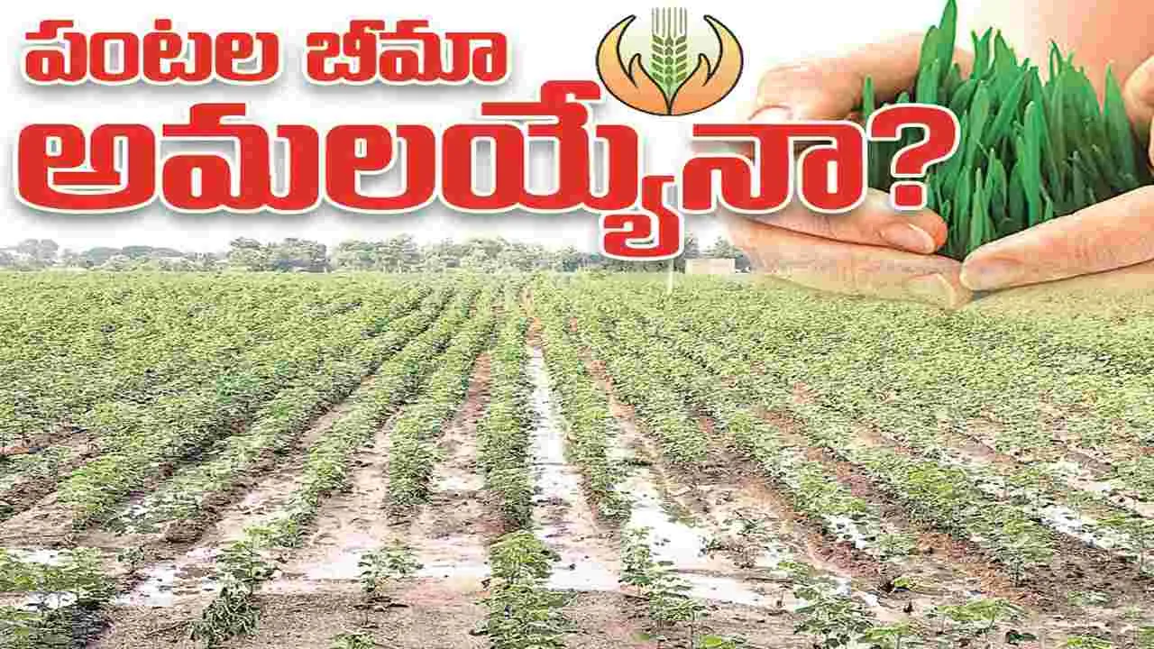 kumaram bheem asifabad- పంటల బీమా అమలయ్యేనా?