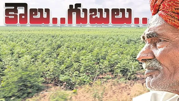 kumaram bheem asifabad- కౌలు.. గుబులు