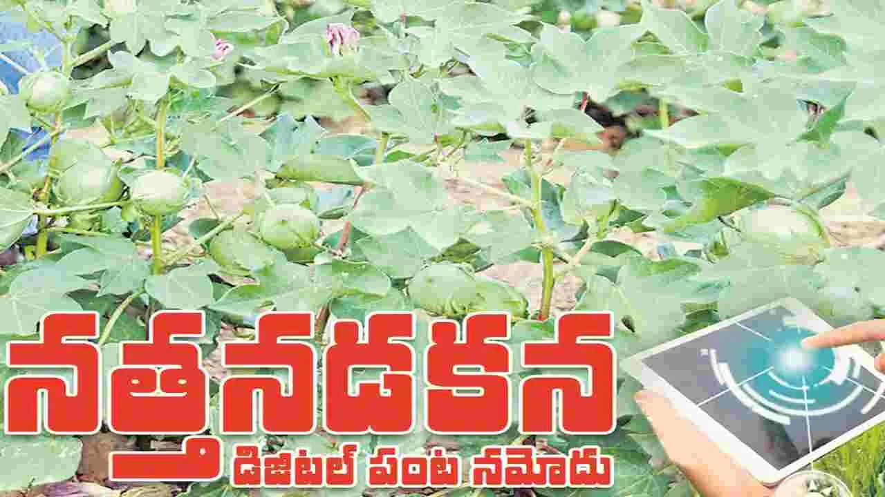 kumaram bheem asifabad-నత్తనడకన డిజిటల్‌ పంట నమోదు