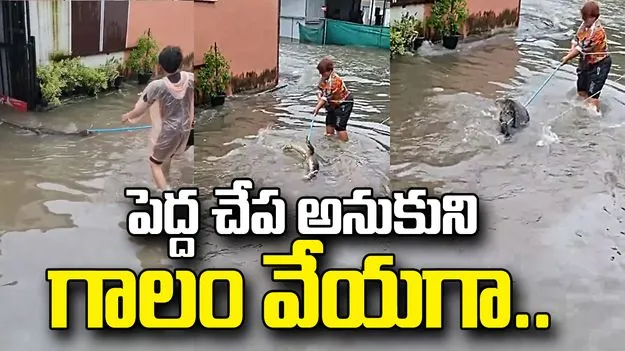 ఇంటి వద్దకు పెద్ద చేప కొట్టుకొచ్చిందని సంబరపడ్డారు.. తీరా చూస్తే.. 