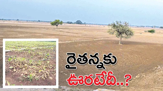 రైతన్నకు ఊరటేదీ?