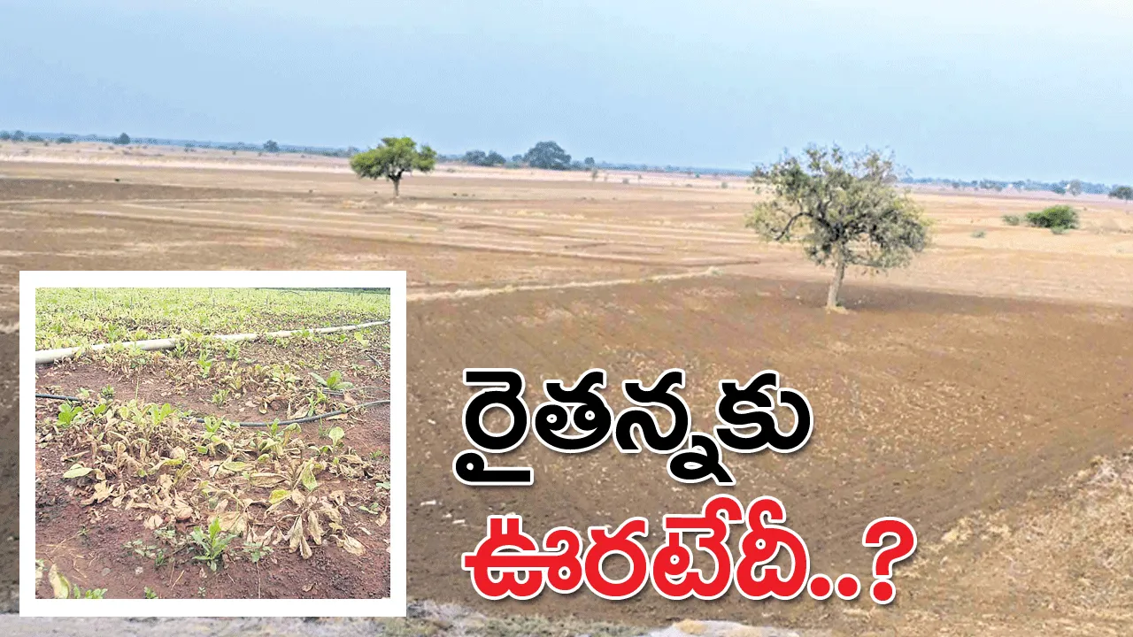 రైతన్నకు ఊరటేదీ?