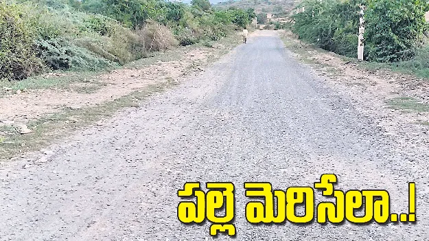 పల్లె మెరిసేలా...!