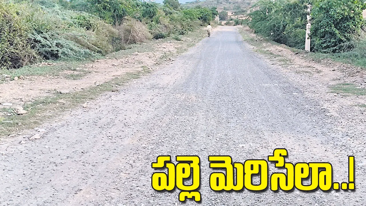 పల్లె మెరిసేలా...!