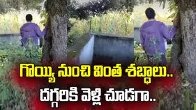 అడవి నుంచి వింత శబ్దాలు.. వెళ్లి చూస్తే షాక్.. వీడియో 