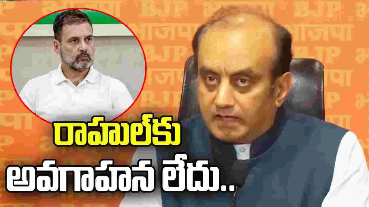 రాహుల్‌కు రాజకీయాలపై అవగాహన లేదు: సుధాన్షు త్రివేది